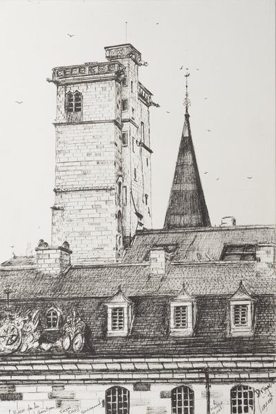 Toits de Dijon, France, 2008 - Vincent Alexander Booth